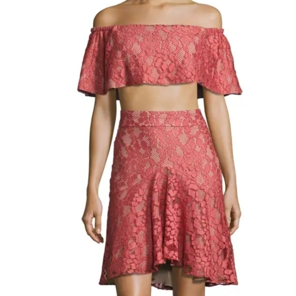 Alexis Pink Lace Taza Crop Top & Braxten Skirt XS-S